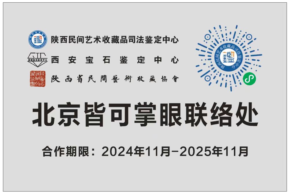 北京皆可掌眼文化传播有限责任公司